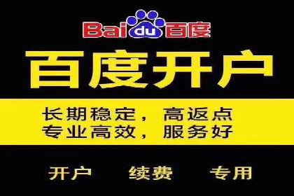 百度推广在电商行业的成功案例